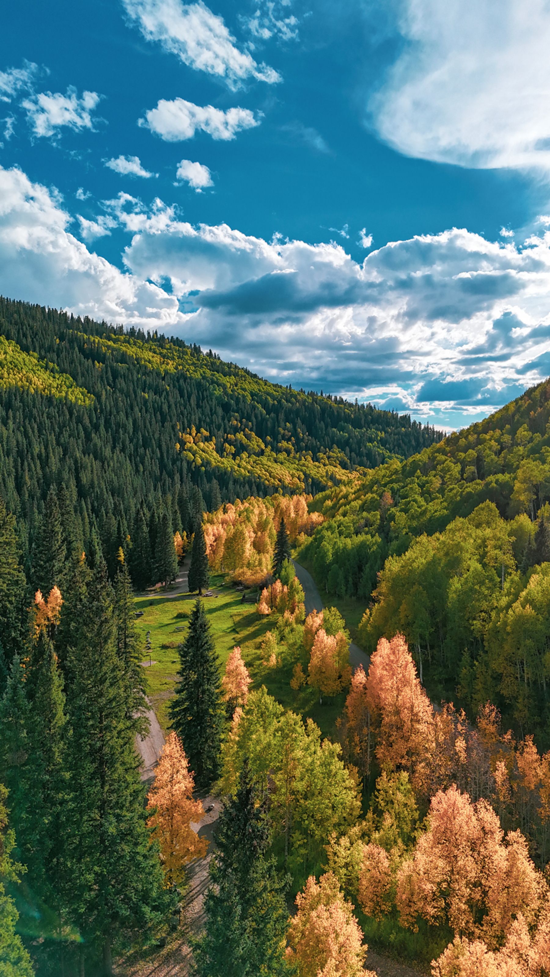 River of Yellow Foliage near Burro Bridge
